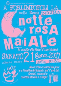 Notte rosa 2017