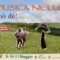 9, 10, 11 Maggio 2025 Torna la Musica nelle aie a Castel Raniero
